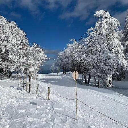 Les Reflets Du Hotel Gerardmer
