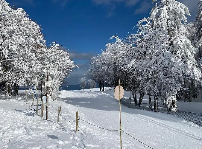 Les Reflets Du Ξενοδοχείο Gérardmer