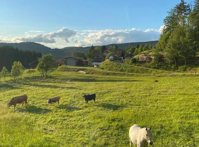 ホテル Les Reflets Du