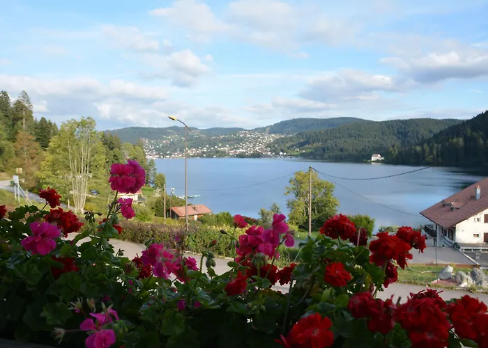 Les Reflets Du Hotel Gérardmer